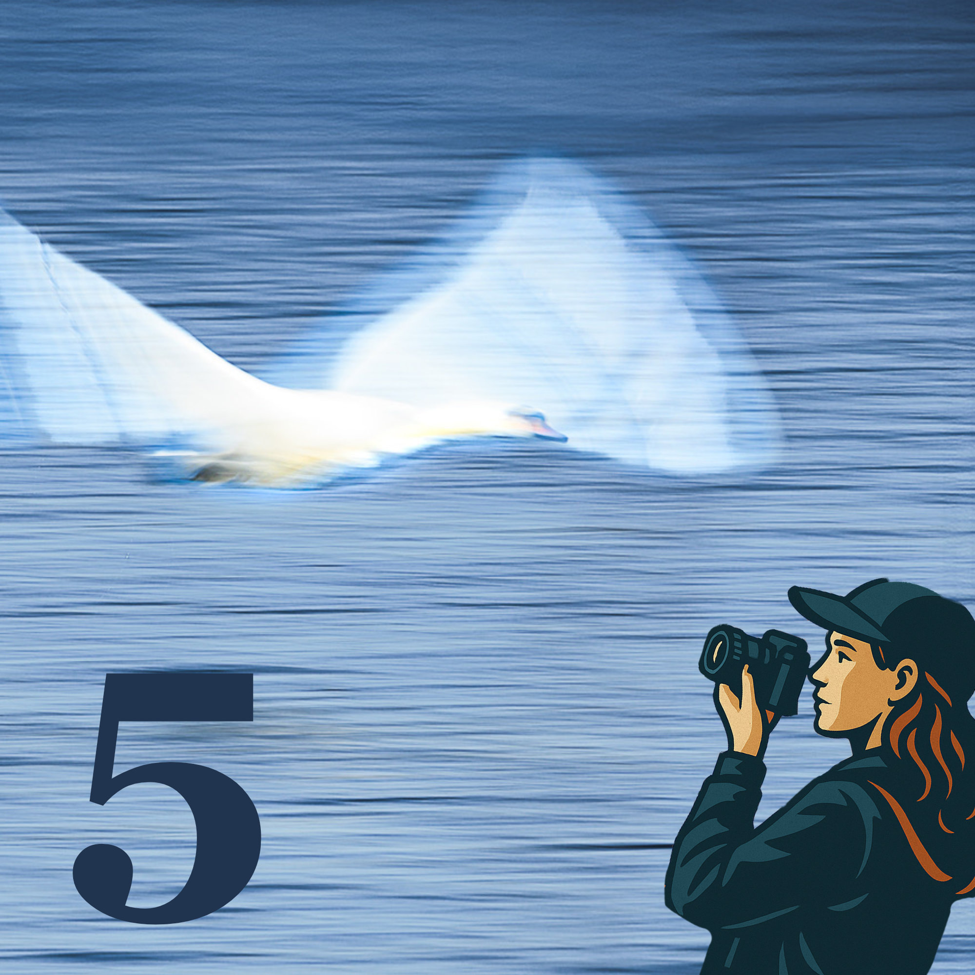 Dia 5 - Kreatives Verwackeln mit Beate Scheffler