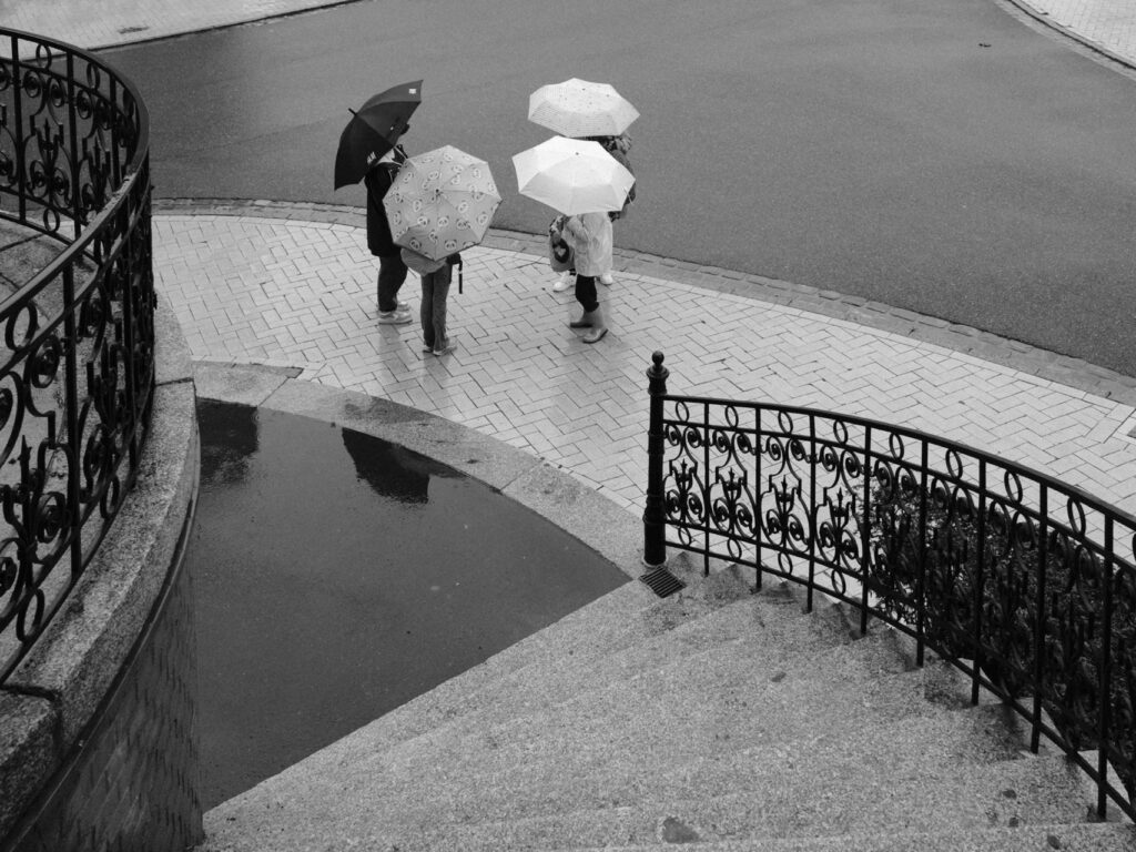 Bild im Querformat :
Hier sieht man drei Personen mit Regenschirmen auf nassem Pflaster.
Sie gehen langsam eine leicht gebogene Straße entlang, geschützt vor leichtem Regen.
Ein schwarzer Schirm links, zwei weiße Schirme rechts – einer mit Muster.
Die Figuren tragen Mäntel und Gummistiefel, Taschen baumeln locker.
Ein schmiedeeisernes Geländer mit Ornamenten rahmt die Szene.
In Schwarz-Weiß wirkt der nasse Glanz poetisch und ruhig.